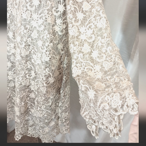 Polo Ralph Lauren Lace Long Sleeve Wedding Dress, Gray,Bell Sleeve,Knee Lngth,16 - Picture 10 of 16